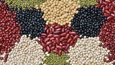 جزئیات جدید از قیمت حبوبات در بازار