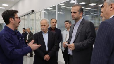 حمایت از تولید و اشتغال پایدار در دستور کار منطقه آزاد انزلی