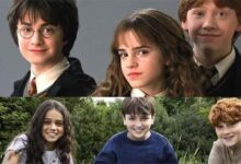 هری پاتر کی پخش می شود؟