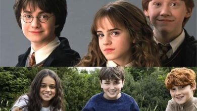 هری پاتر کی پخش می شود؟