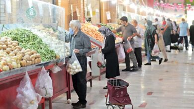 پای میوه و تره بار هم به کالابرگ باز شد+ اجرای طرح از 15 اسفند