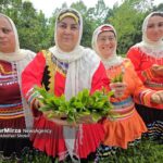 اولین جشنواره چای لنگرود