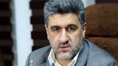 بازار سرمایه ایران استحکام بالایی دارد