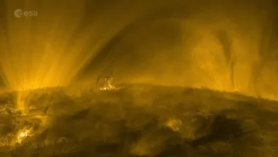 نور