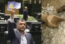 لغو ممنوعیت واردات برنج در فصل برداشت، خلاف صریح قانون و ضربه به معیشت کشاورزان است