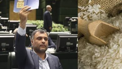 لغو ممنوعیت واردات برنج در فصل برداشت، خلاف صریح قانون و ضربه به معیشت کشاورزان است
