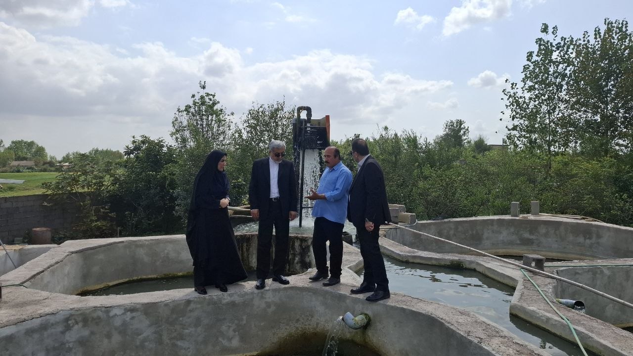 بازدید فرماندار رشت مجموعه پرورش ماهیان خاویاری روستای محمد آباد پیربازار