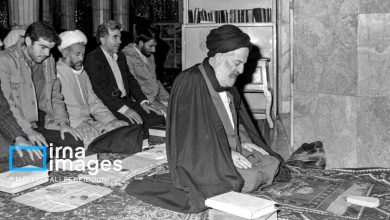 تصاویر آیت‌الله «سید موسی شبیری زنجانی»