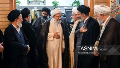 تصاویر: مراسم ارتحال آیت‌الله شبیری زنجانی در حرم حضرت معصومه (س)