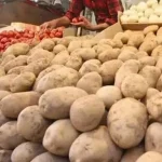 سیب زمینی ارزان راهی بازار می‌شود