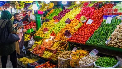 علت نوسانات قیمت میوه در بازار چیست؟