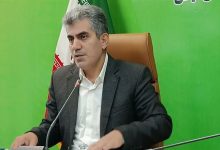 کشت ۳۵۰ رقم زیتون از سراسر دنیا در کلکسیون ۶۵۰ هکتاری زیتون علی‌آباد