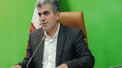 کشت ۳۵۰ رقم زیتون از سراسر دنیا در کلکسیون ۶۵۰ هکتاری زیتون علی‌آباد