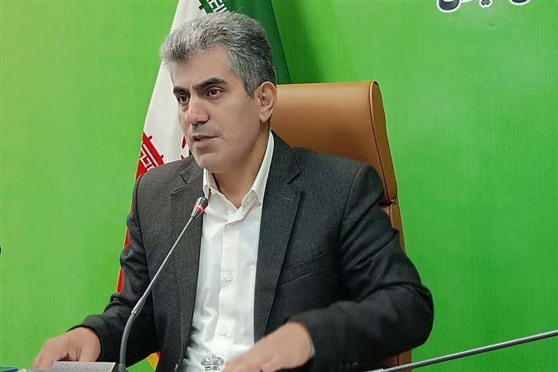 کشت ۳۵۰ رقم زیتون از سراسر دنیا در کلکسیون ۶۵۰ هکتاری زیتون علیآباد