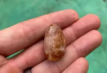 مواد