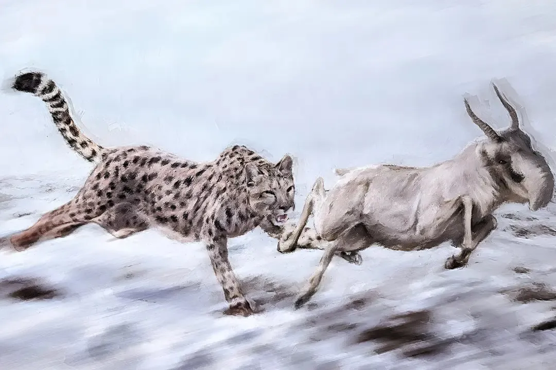 گربه‌سان معروف به «یوزپلنگ آمریکایی» در واقع اصلاً یوزپلنگ نبوده است
