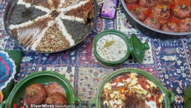 گزارش تصویری جشنواره ملی آش و غذاهای محلی در شهرستان نیر