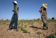 ۶ تا ۷ ساعت قطعی برق، کمبود آب و افزایش هزینه‌ها کمر کشاورزان را شکسته است