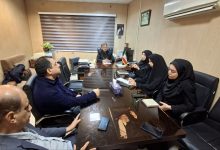 آغاز پرداخت تسهیلات حمایتی بنیاد برکت در تمامی مراحل زنجیره ارزش زیتون رودبار