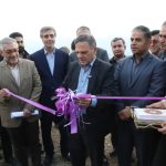 افتتاح بزرگ‌ترین باغ یکپارچه زیتون کشور در طارم زنجان