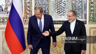 تصاویر: استقبال عراقچی از لاوروف