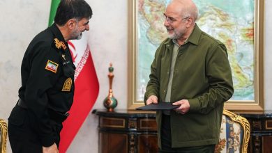 از خدمات قالیبافی سردار رادان تقدیر شد