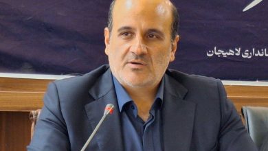 رشد ۳۰ درصدی برداشت برگ سبز چای در لاهیجان