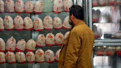 قیمت مرغ امروز جمعه ۱۷ مهر ۱۴۰۵
