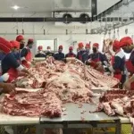 قیمت واقعی دام زنده امروز ۷۰۰ تا ۷۱۰ هزار تومان است / معاملات غیرنقدی و فضای مجازی قیمت ها را مصنوعی بالا می‌برد