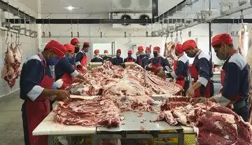 قیمت واقعی دام زنده امروز ۷۰۰ تا ۷۱۰ هزار تومان است / معاملات غیرنقدی و فضای مجازی قیمت ها را مصنوعی بالا می‌برد