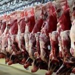 هیچ مجوزی برای کشتار و عرضه گوشت اسب، قاطر و الاغ صادر نشده است