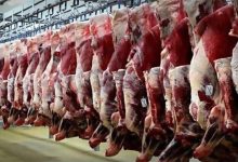هیچ مجوزی برای کشتار و عرضه گوشت اسب، قاطر و الاغ صادر نشده است