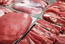 چرا گوشت گران شده است؟