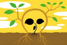 گیاه